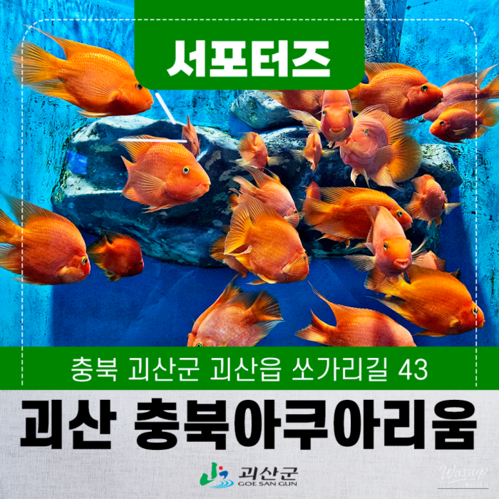 Exploring the Chungbuk Aquarium in Goesan2582
