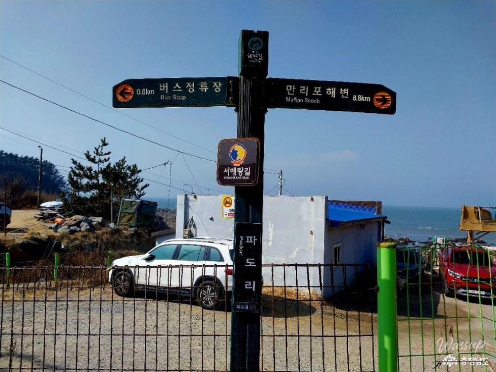 Exploring the Serene Padori Beach_03