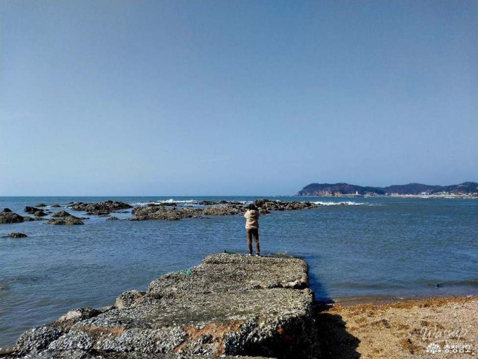 Exploring the Serene Padori Beach_05