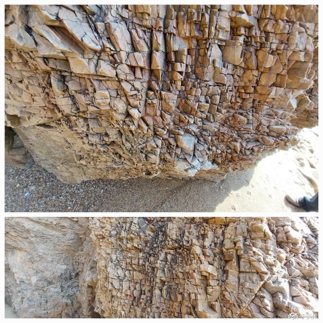 Exploring the Serene Padori Beach_13