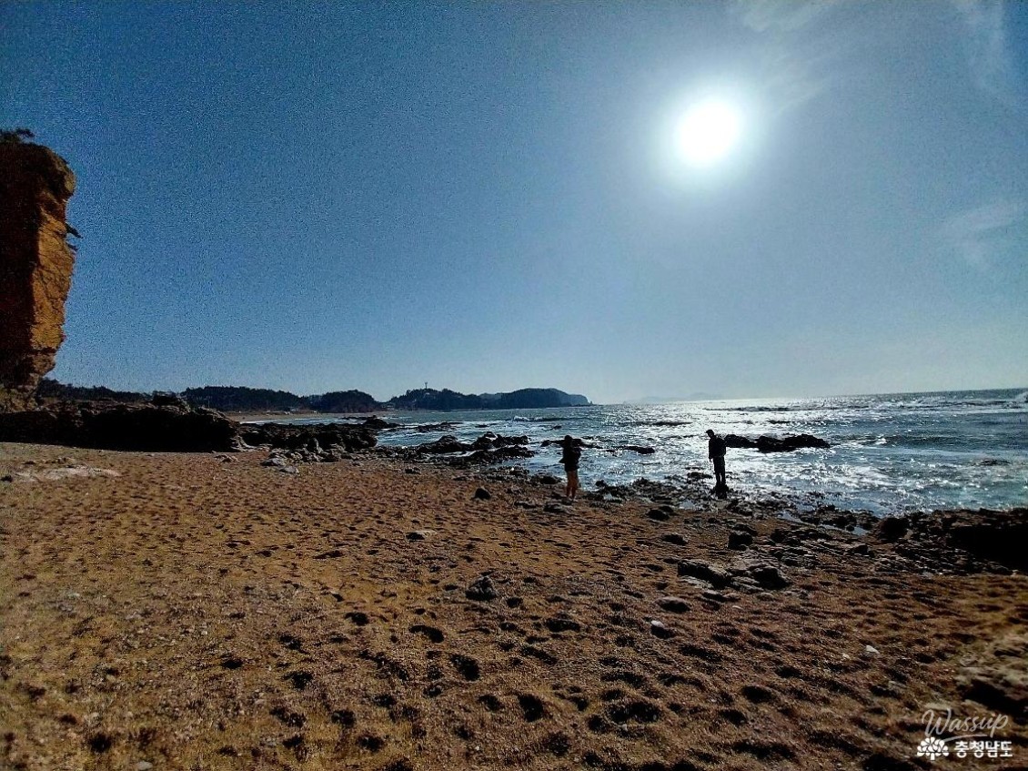 Exploring the Serene Padori Beach_18