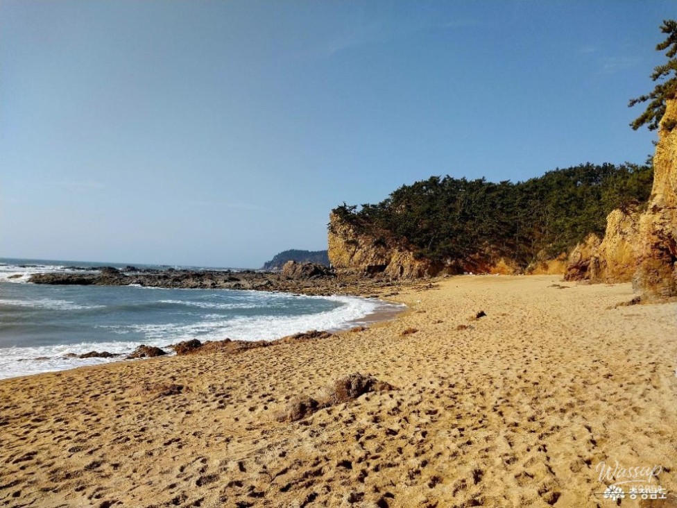 Exploring the Serene Padori Beach_09