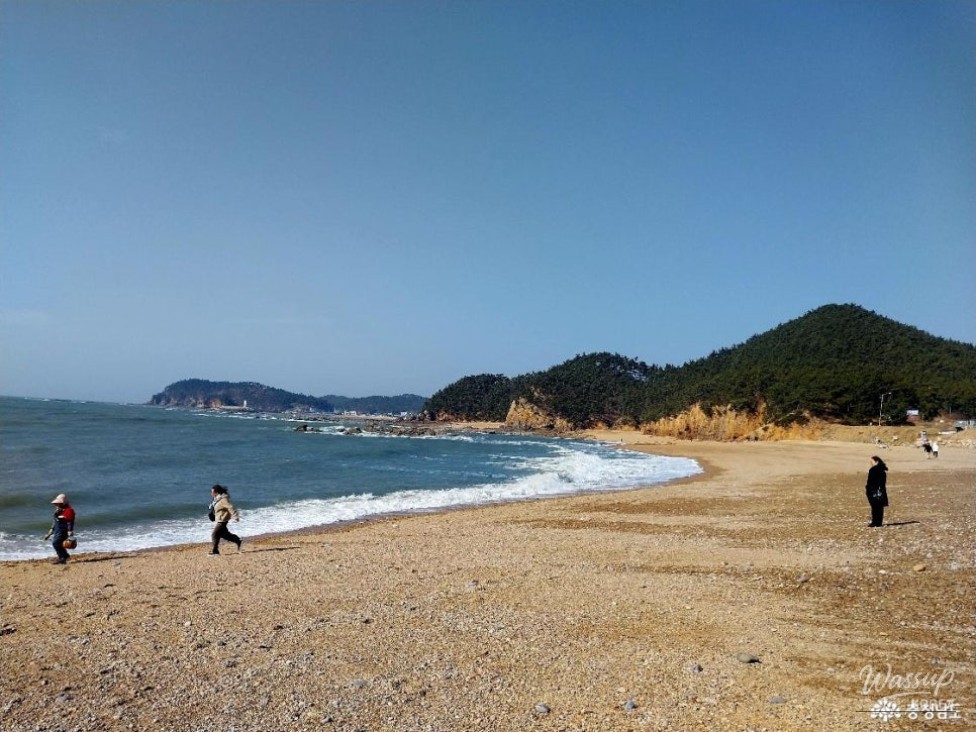 Exploring the Serene Padori Beach_08