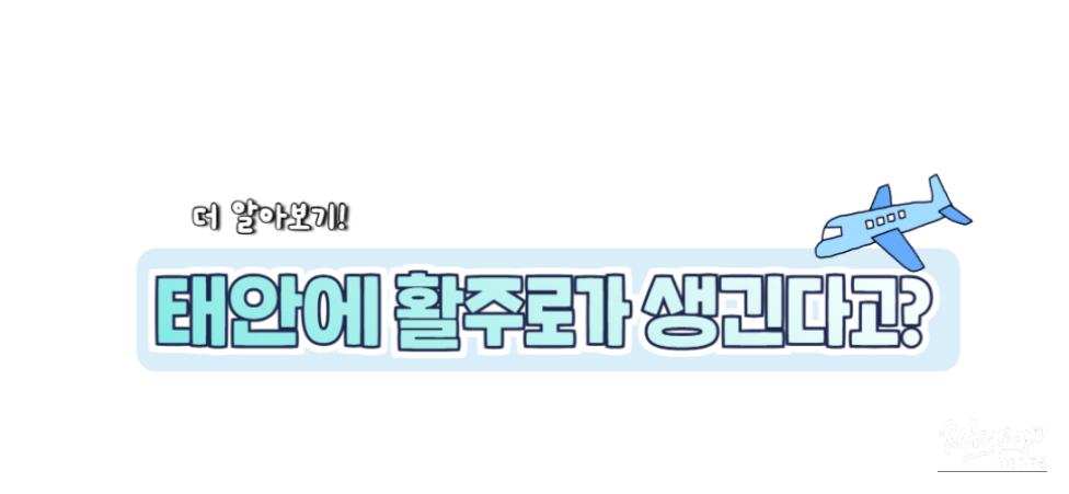 Exploring the Serene Padori Beach_23