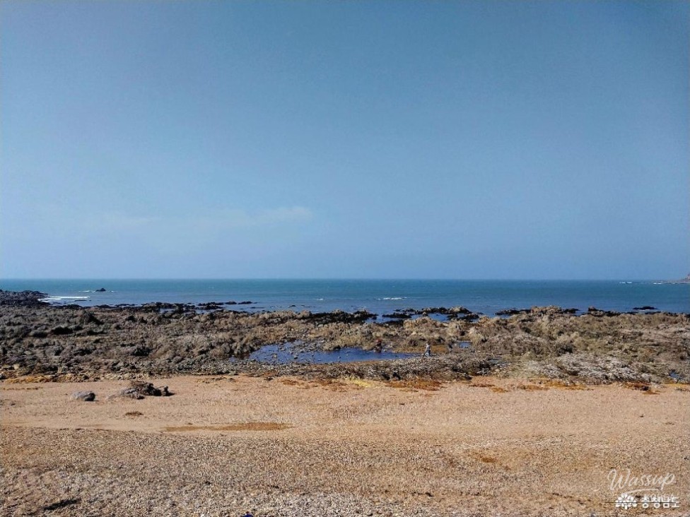 Exploring the Serene Padori Beach_04