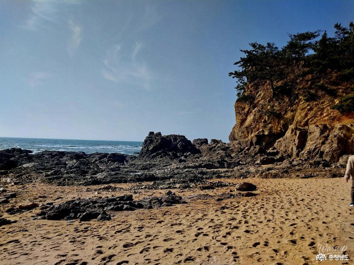 Exploring the Serene Padori Beach_10