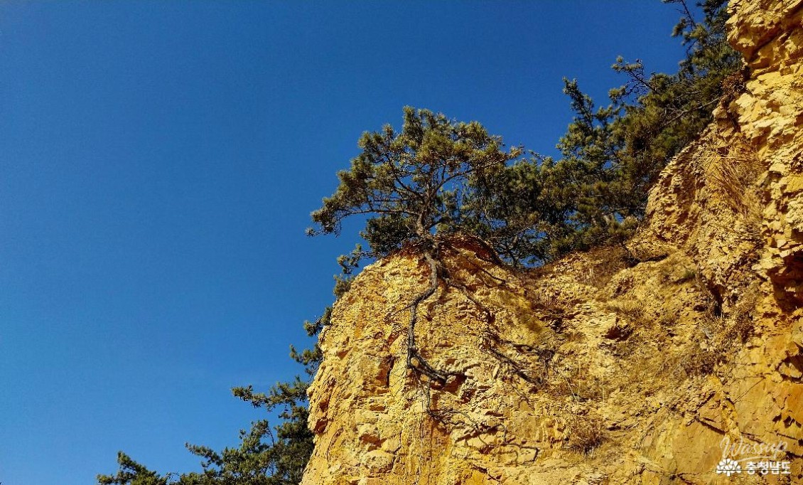 Exploring the Serene Padori Beach_12