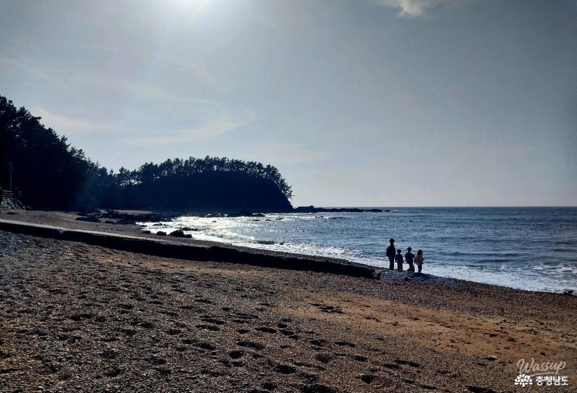 Exploring the Serene Padori Beach_19