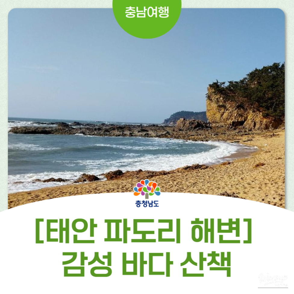 Exploring the Serene Padori Beach_01