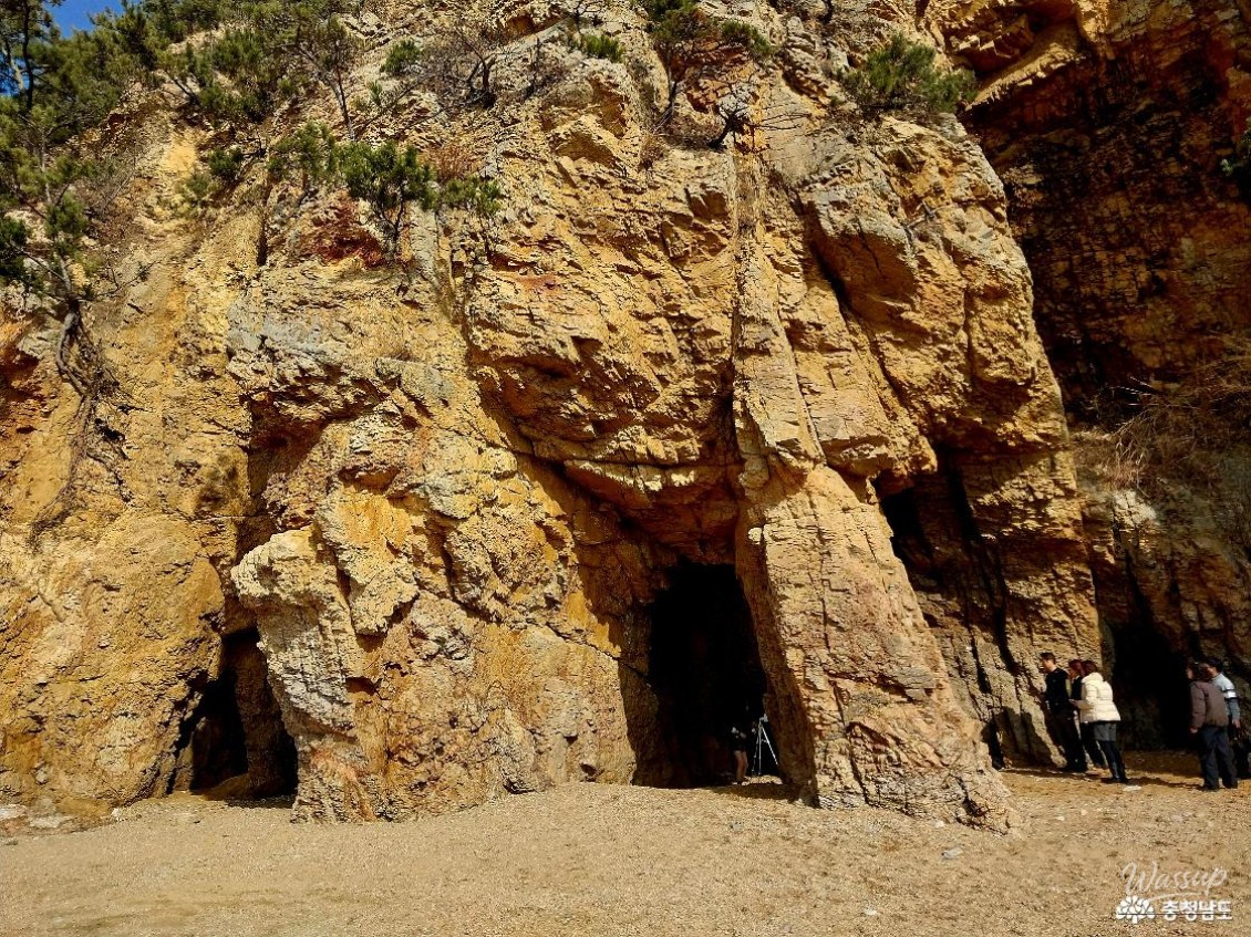 Exploring the Serene Padori Beach_14