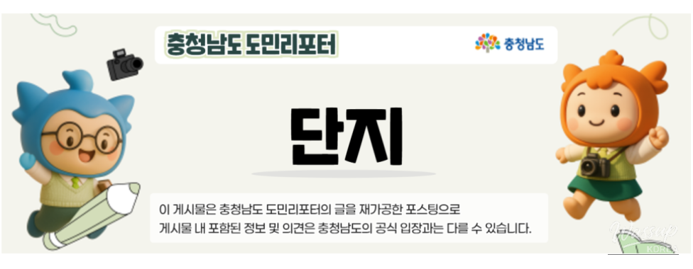 Exploring the Serene Padori Beach_22