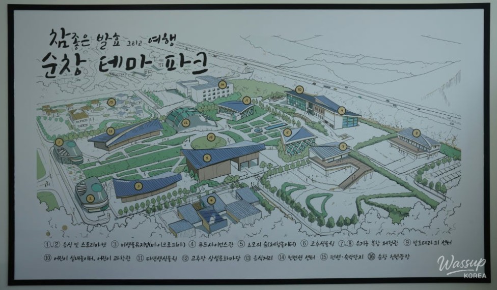 Explore the World of Fermentation in Sunchang_03