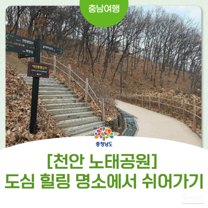 Exploring Notae Park: A Natural Oasis in Cheonan2593
