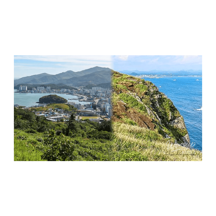 Top 4 Warm Domestic Travel Destinations in Korea for Late February2590