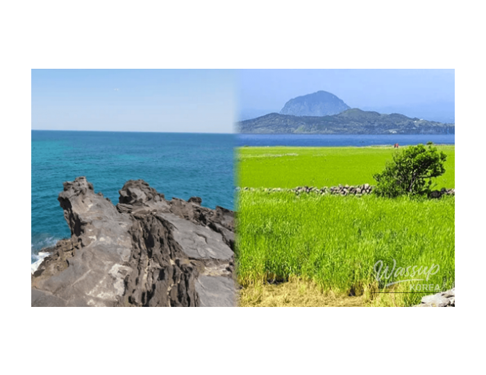 Hidden Gems of Jeju in Late February float