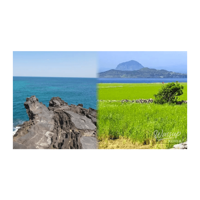 Hidden Gems of Jeju in Late February2595