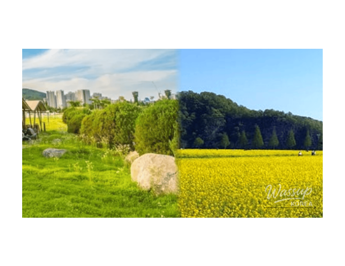 Best Travel Destinations Between Late Winter and Early Spring float