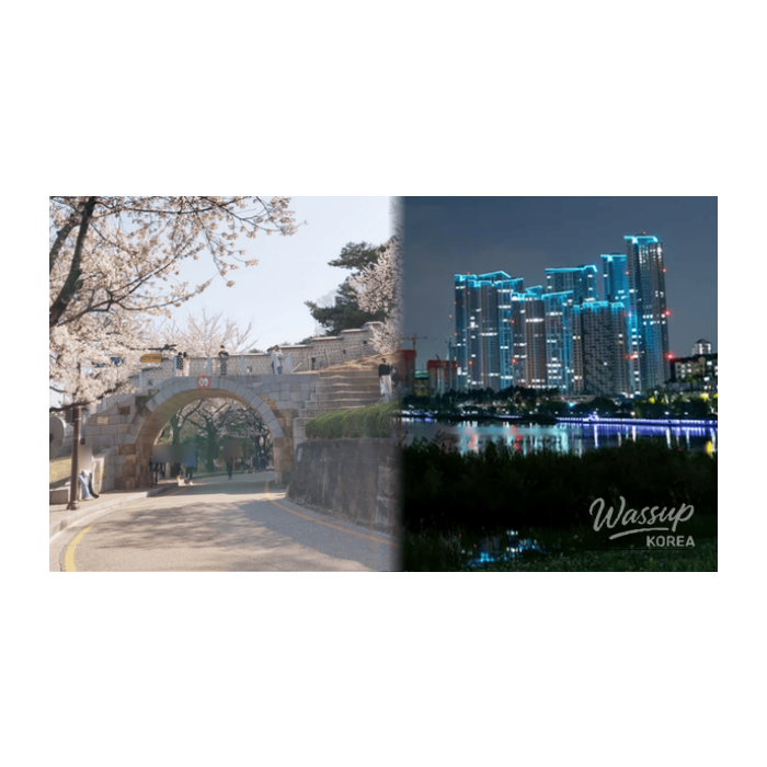 Discovering Suwon: Best Places to Visit in Early Spring2606