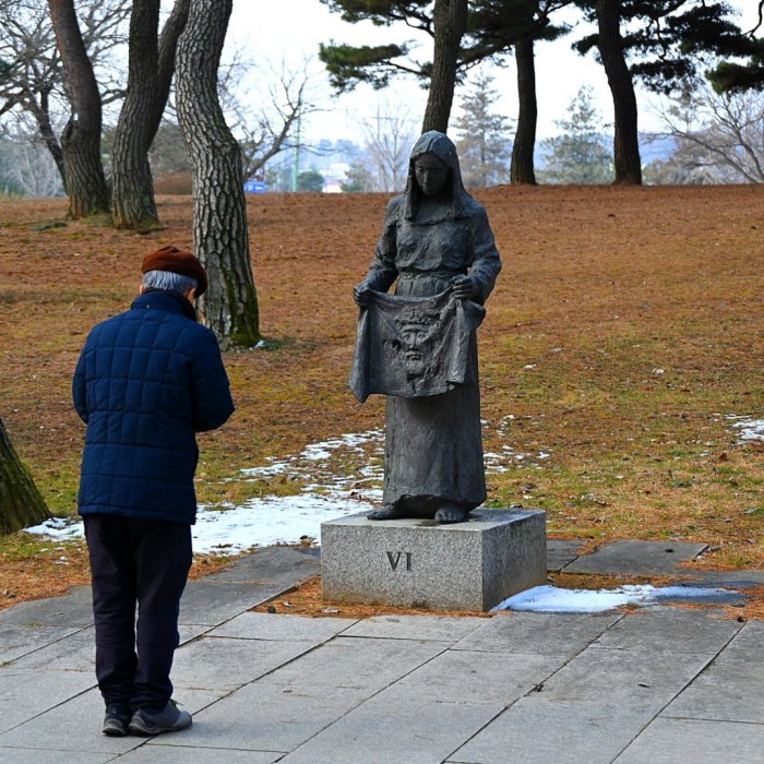 The Autumn Beauty of Solmoe Sanctuary: A Journey of Memory and Hope2603