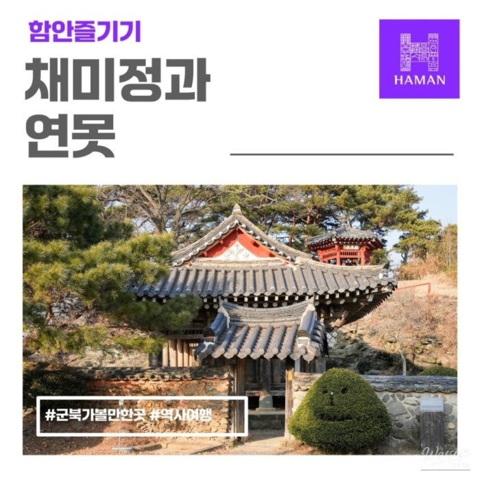 Chaimijeong: A Historical Pavilion Honoring Scholar Jo Ryeo1404