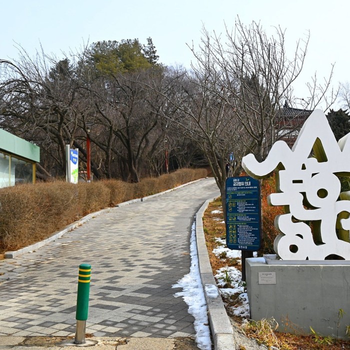 Exploring Namsan Health Park in Dangjin During Winter2614