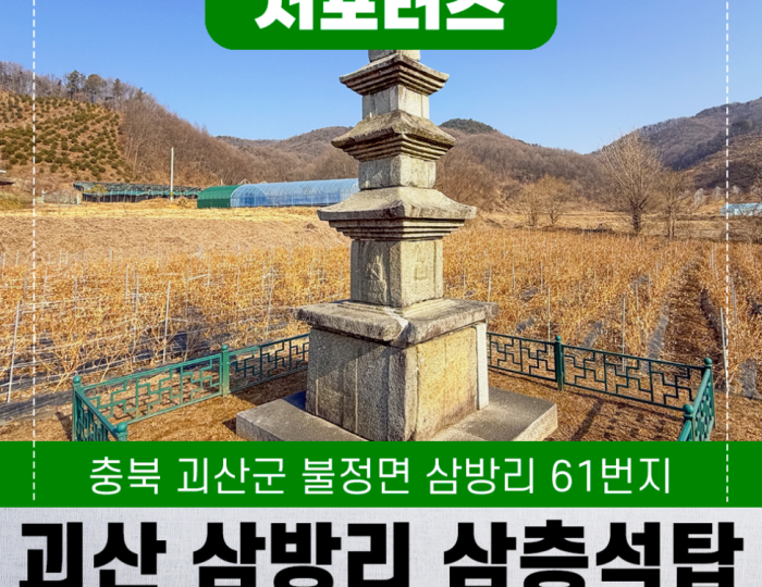 Exploring the Cultural Heritage of Goesan float