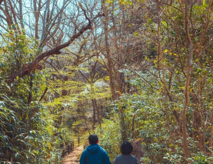 Haenam Cultural Tourism Foundation Accelerates Local Tourism Revitalization with 'Ttangkkeut Masil' float