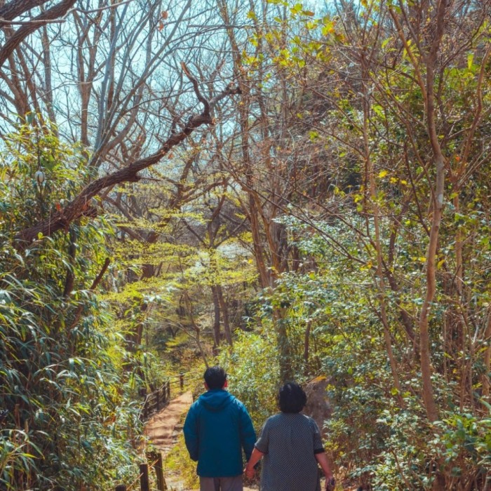 Haenam Cultural Tourism Foundation Accelerates Local Tourism Revitalization with 'Ttangkkeut Masil'2629