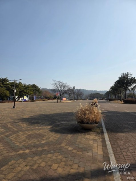 Winter Fun at Ulsan's Outdoor Ice Rink_05