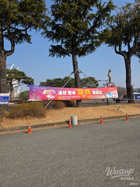 Winter Fun at Ulsan's Outdoor Ice Rink_02