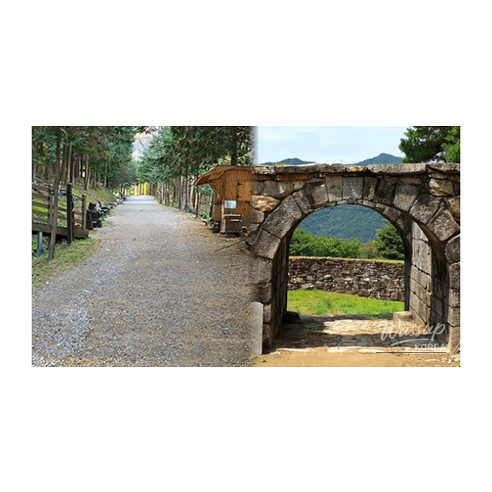 Exploring the Tranquil Beauty of Wanju in Early Spring2653