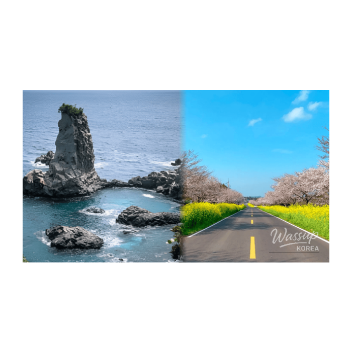 Exploring Jeju's Hidden Gems in Late February2641