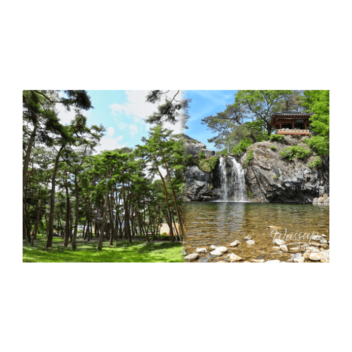 Exploring the Natural Beauty of Sangju: Top 4 Family-Friendly Destinations2642