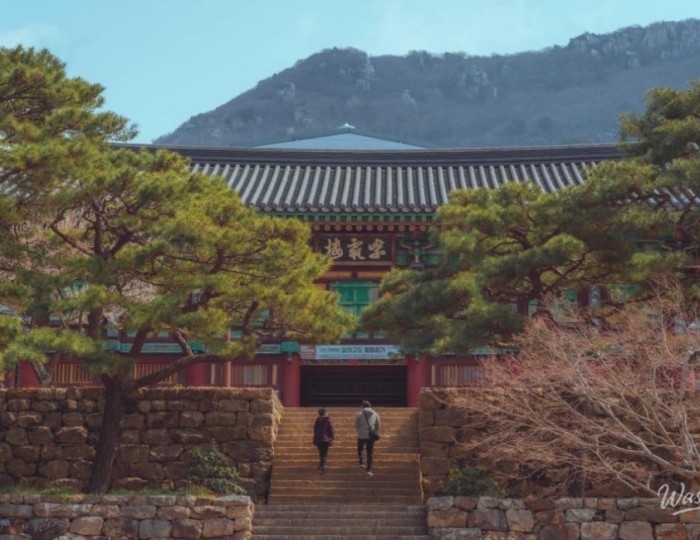 Launch of the Ganghaeyoung Project: A New Era of Regional Tourism float