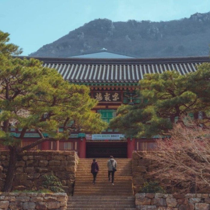 Launch of the Ganghaeyoung Project: A New Era of Regional Tourism2633