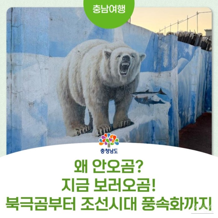 Cheonan Minarit-gil Alley Mural Village: An Open-Air Gallery in the City2648