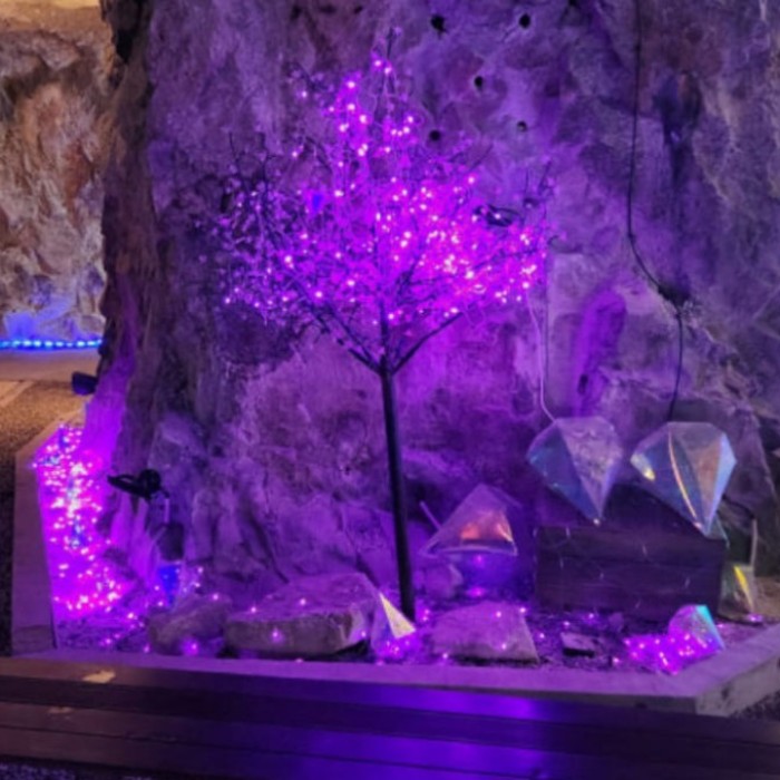 Explore the Wonders of Ulsan Amethyst Cave2665