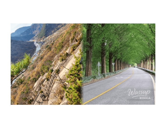 Discovering Hidden Gems in Sunchang: Top 4 Must-Visit Spots float