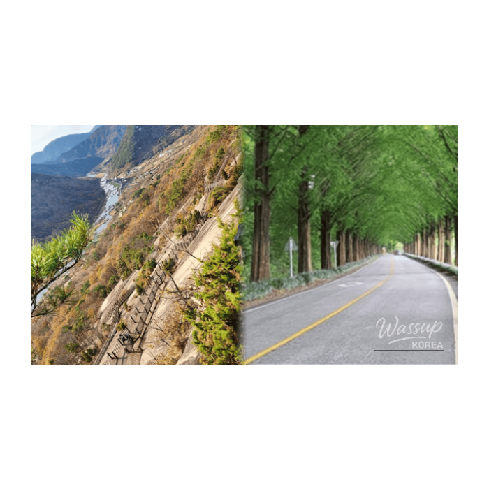 Discovering Hidden Gems in Sunchang: Top 4 Must-Visit Spots2662