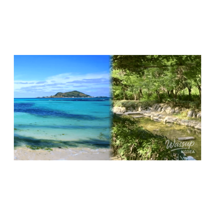 Top 4 Domestic Destinations to Experience Overseas Vibes in Korea2664