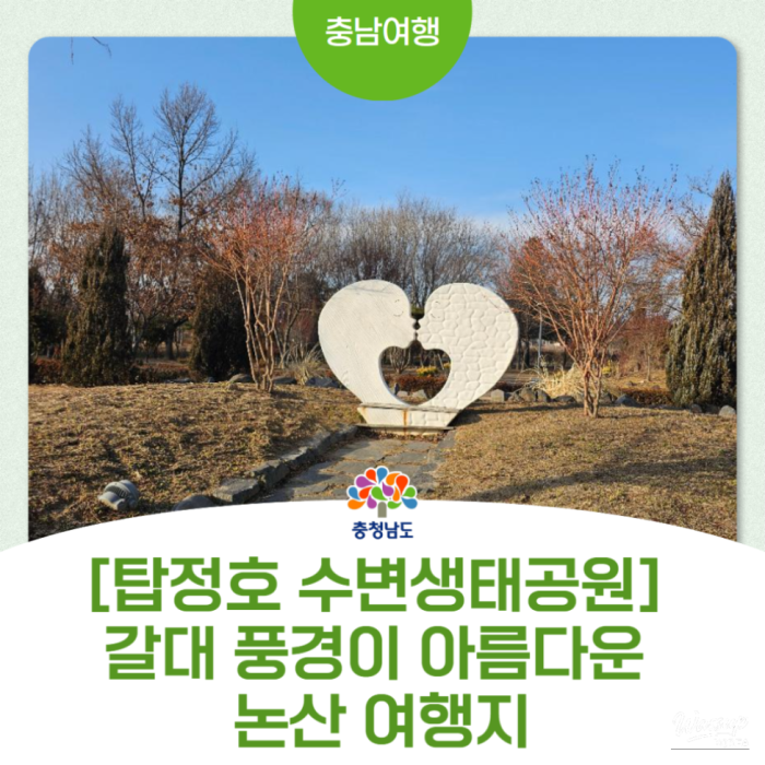 Exploring the Tranquil Beauty of Tapjeongho Ecological Park2670