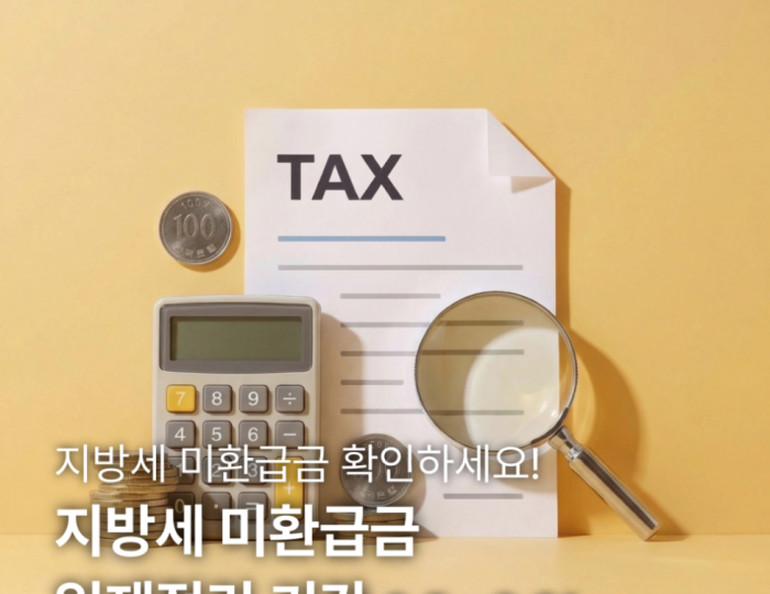 Guidelines for the Local Tax Refunds Cleanup Period float