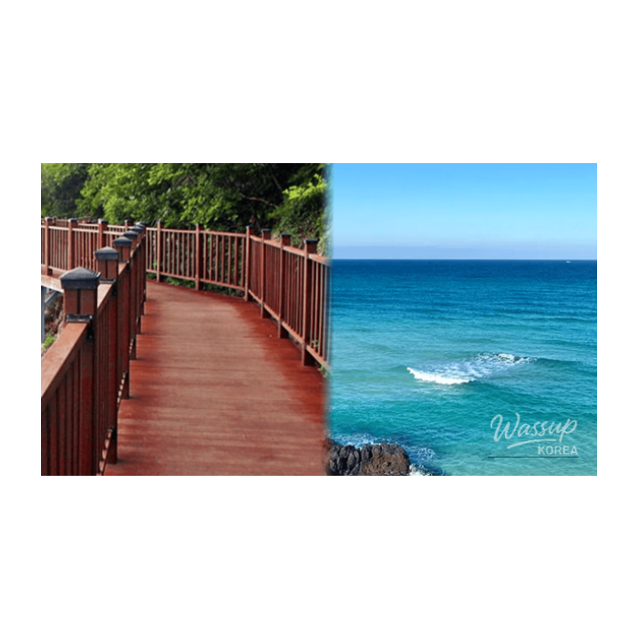 Exploring the Best Spots in Changwon and Masan for Cherry Blossom Season2683