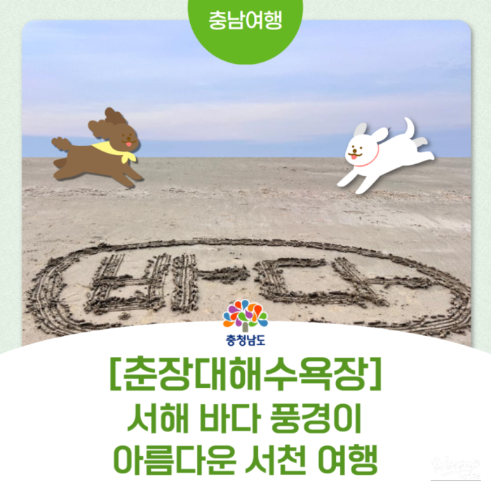 Exploring the Serenity of Chunjangdae Beach in Chungnam2680