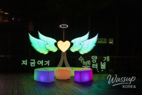 Exploring the Suyanggae Light Tunnel_04