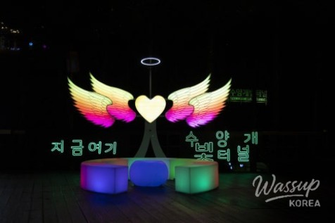 Exploring the Suyanggae Light Tunnel_03