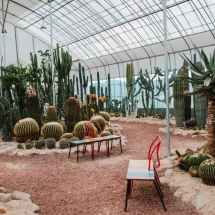 Exploring the Artistic Garden: A Unique Outdoor Experience2688