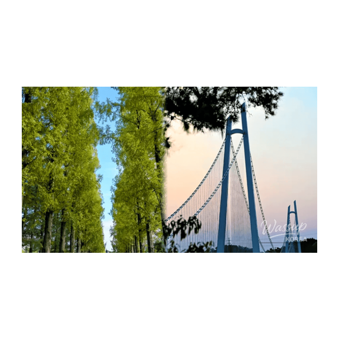 Exploring Nonsan: A Spring Retreat2687