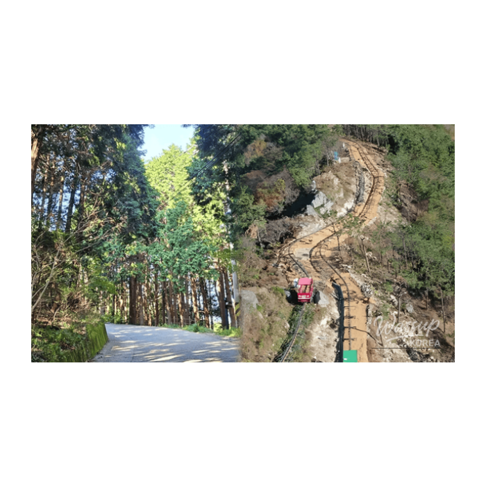 Exploring Tongyeong: A Spring Getaway2696