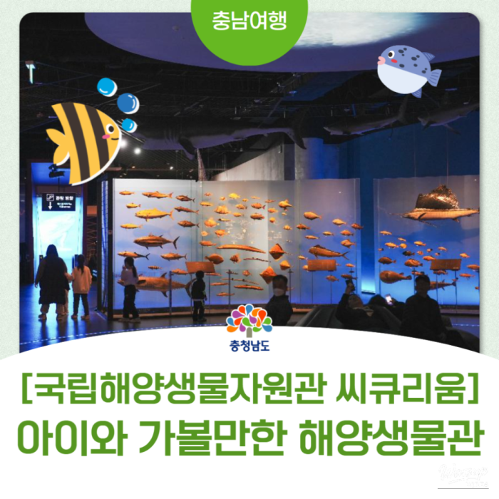 Exploring SeaQrium: A Family-Friendly Destination in Seocheon2694